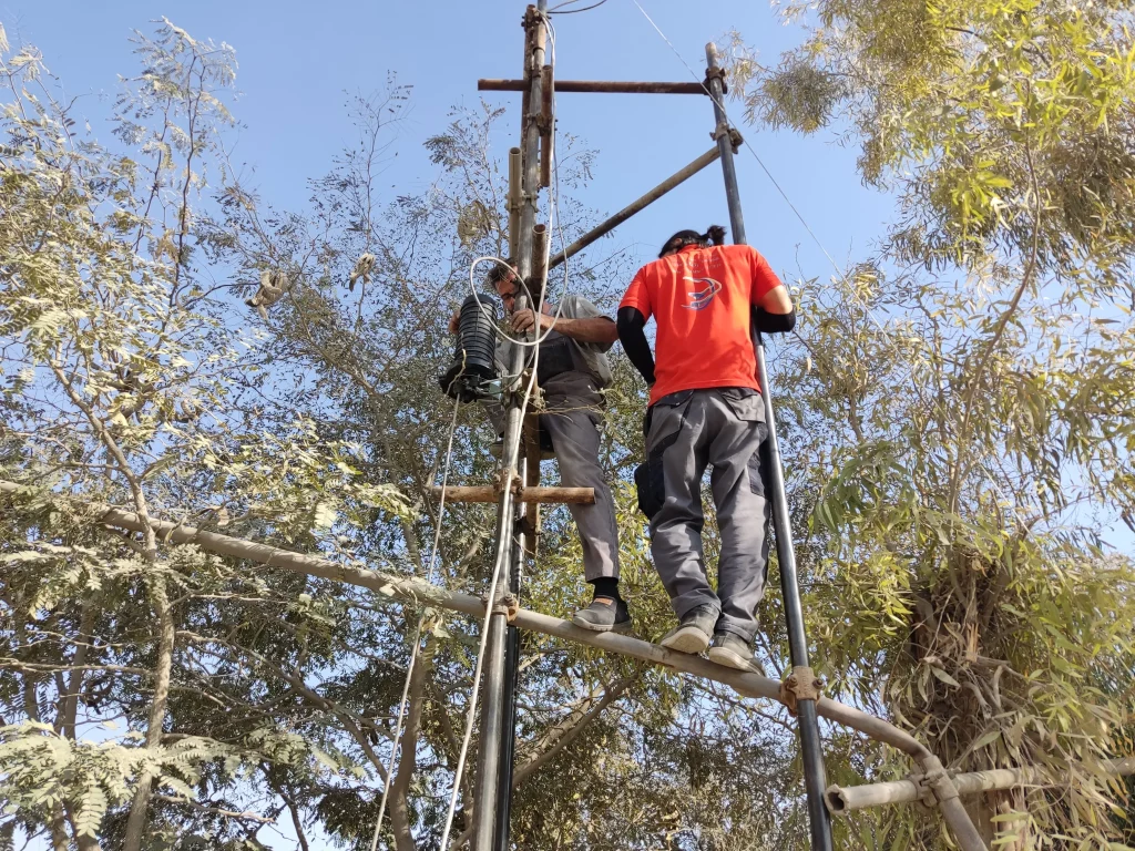 مفصل فیبرنوری